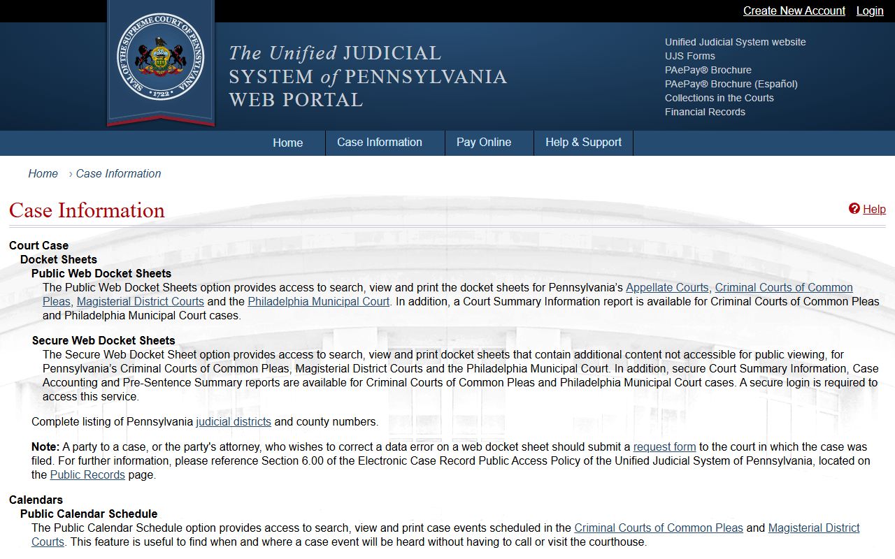 Schuylkill County court records UJS case information page