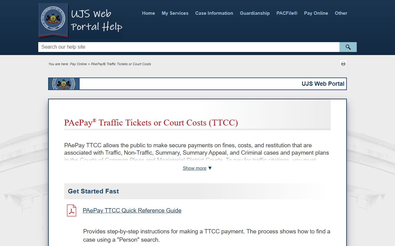 Schuylkill County traffic court records PAePay help page